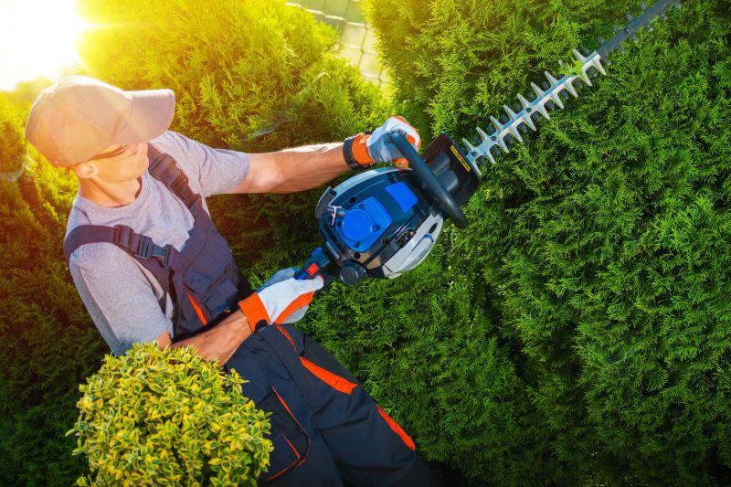 Shrub Trimming Service