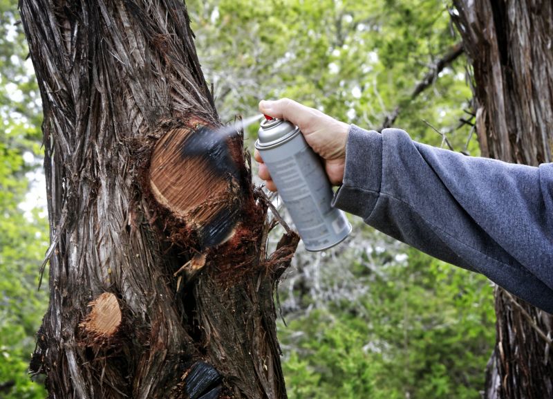 Birch Tree Pruning in Doylestown, PA
